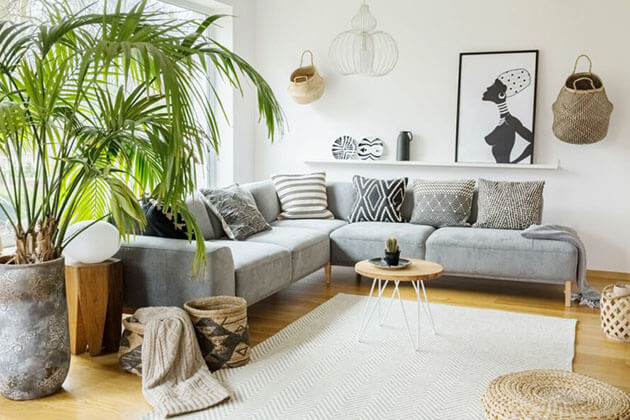 living room with plants, unique coffee table design